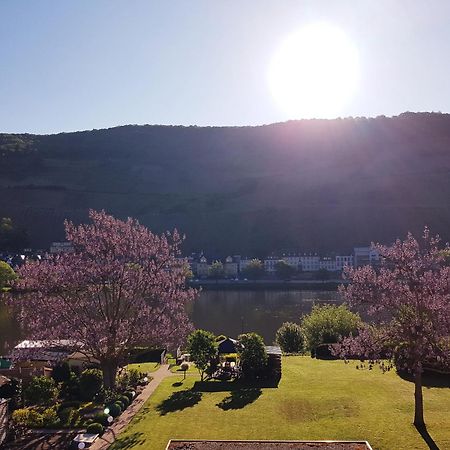 Zum Blauglockenbaum Apartment Zell an der Mosel Ngoại thất bức ảnh